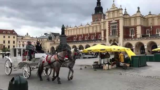 Krakow Polonia Circa 2021 Transporte Caballo Centro Plaza Ciudad — Vídeos de Stock