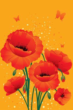 Kırmızı poppies geri