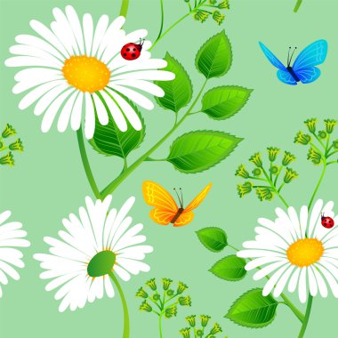 Papatya sorunsuz arka plan vektör çizim