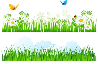 Yaz çimlerinin vektör illüstrasyonu