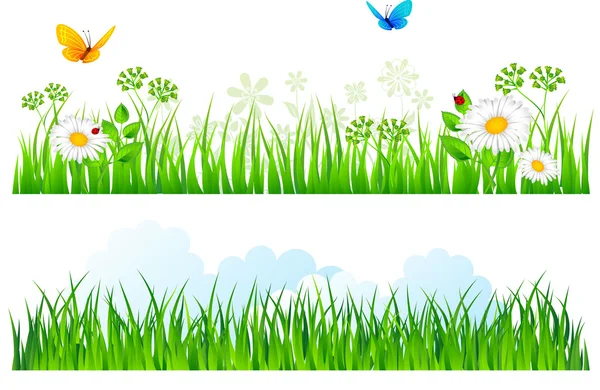 Illustration vectorielle de l'herbe d'été — Image vectorielle