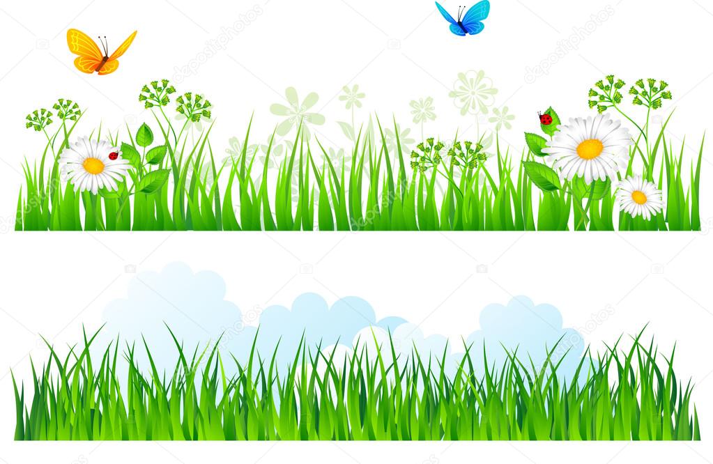 Vector illustration of Summer grass