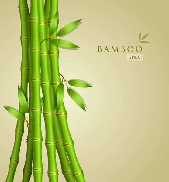 Fond avec du bambou vert — Image vectorielle