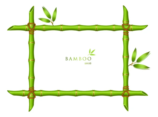 Background with green bamboo frame — Stock Vector