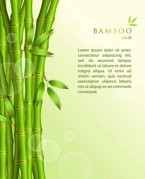 Background with green bamboo — Stock Vector