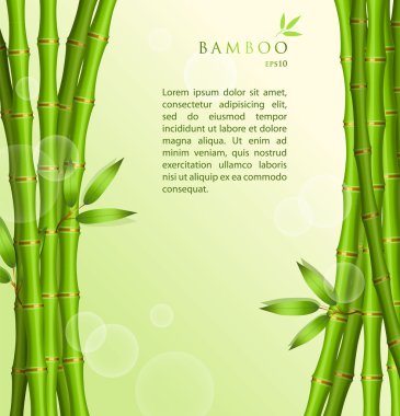 Yeşil Bambu ile arka plan