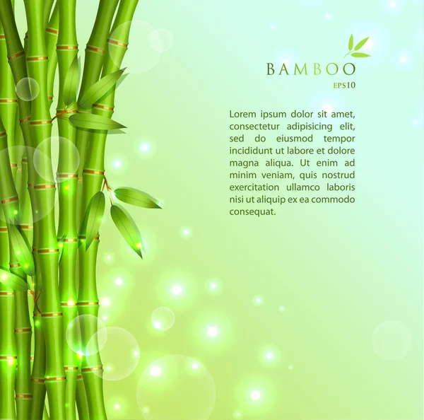 Background with green bamboo — Stock Vector