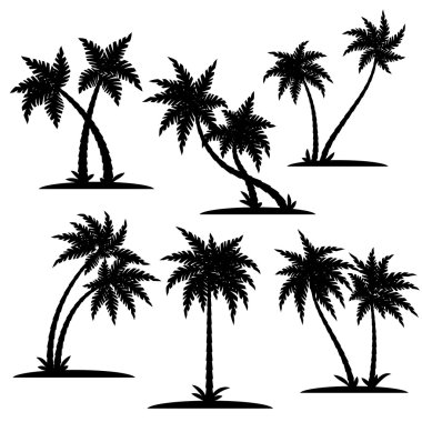 Palm siluet seti