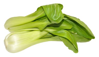 Pak choi Çince lahana