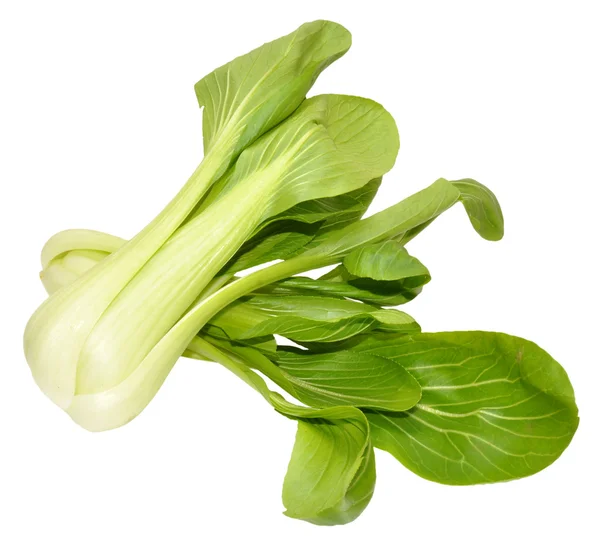 Pak Choi couves chinesas — Fotografia de Stock