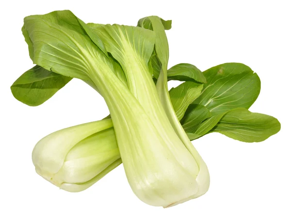 Pak choi kínai káposzta — Stock Fotó