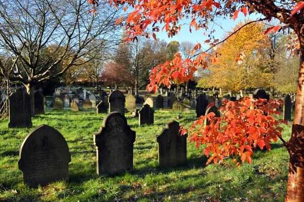 Autumn Graveyard — Stock Photo, Image