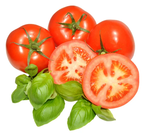 Fresh Tomatoes And Basil Herb — Stock Photo, Image