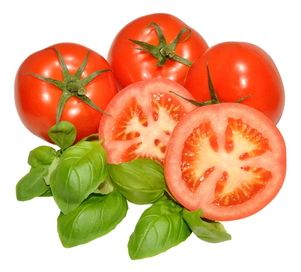 Fresh Tomatoes And Basil Herb — Stock Photo, Image