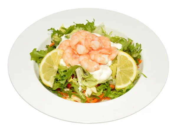 Fresh Prawn Salad — Stock Photo, Image