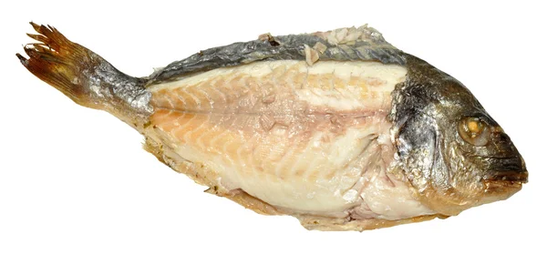 Kokt fisk med kött utsatt — Stockfoto