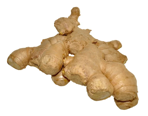 Raw Ginger Root — Stock Photo, Image