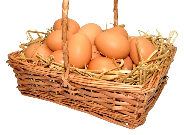 Cesta de ovos de galinhas frescas — Fotografia de Stock