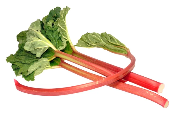 Baru dijemput Rhubarb Stalks — Stok Foto