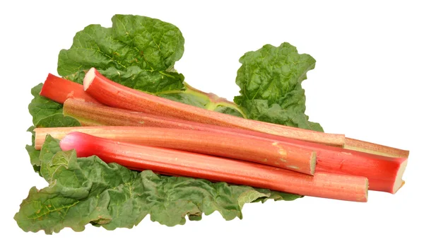 taze çekilmiş ravent takip ediyor