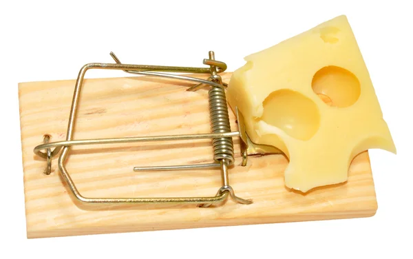 Trampa de ratón y queso — Foto de Stock