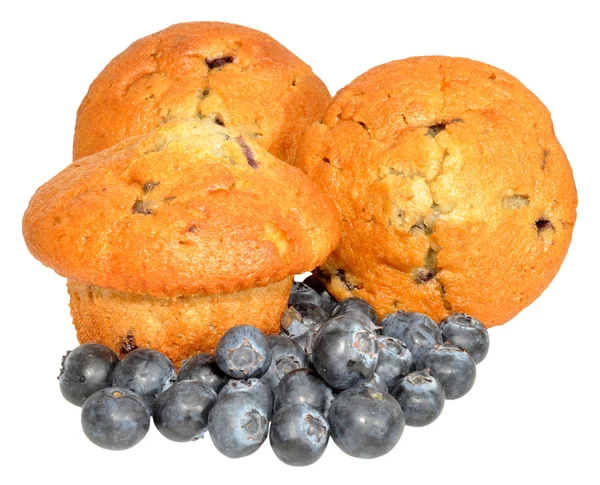 Blueberry Muffins With Fresh Blueberries — Stock Photo, Image