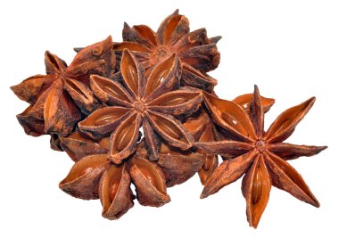 yıldız anason baharat