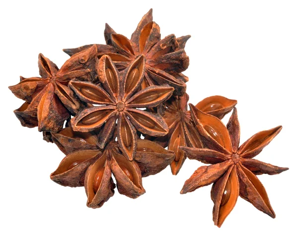 Star Anise Spice Royalty Free Stock Photos