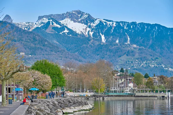 Landscape Lake Geneva Lakeside Promenade Vevey City Switzerland Selective Focus — Fotografia de Stock