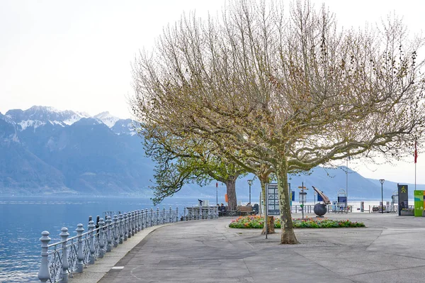 Landscape Lake Geneva Lakeside Promenade Vevey City Switzerland Selective Focus — ストック写真