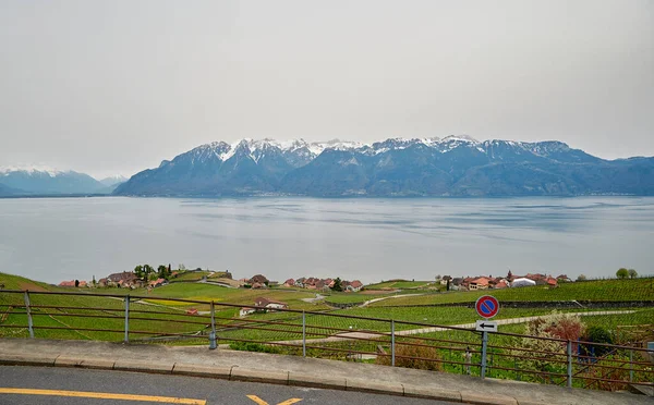 Landscape Vineyard Terrace Region Lavaux Switzerland Lake Geneva Lac Leman — Zdjęcie stockowe
