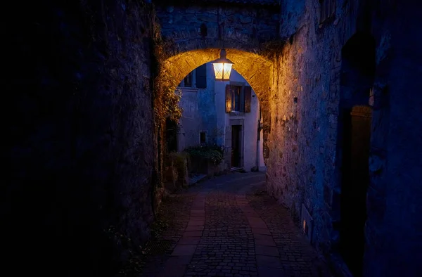 The landscape of Saint-Saphorin at night. The village located in the Swiss canton of Vaud, on the shore of Lake Geneva (Lac Leman), in the district of Lavaux-Oron.