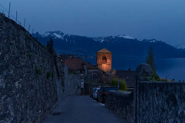 The landscape of Saint-Saphorin at night. The village located in the Swiss canton of Vaud, on the shore of Lake Geneva (Lac Leman), in the district of Lavaux-Oron.