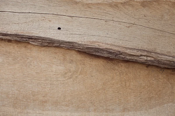 Árbol viejo, la textura, aislado . — Foto de Stock