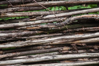 doku bir ağaç, bir tahta ahşap ürünleri.