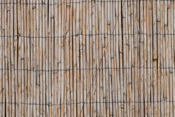 Bambou, clôture ondulée isolée . — Photo