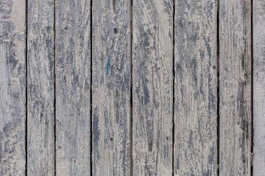 yaşlı bir ağaç, bir tahta ahşap ürünleri doku..