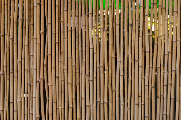 Bambu, izole gerdanlı çit. — Stok fotoğraf