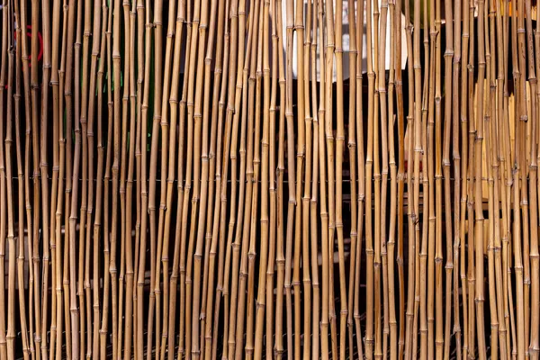 Bambu, wattled staket isolerade. — Stockfoto