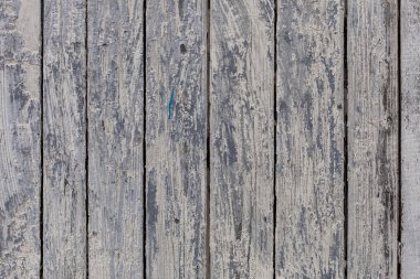 bir ağaç, ahşap doku.