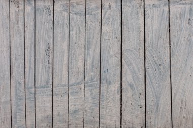 bir ağaç, ahşap doku.