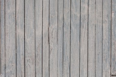 bir ağaç, ahşap doku.