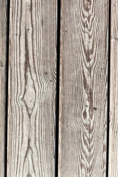 Textur ett träd, trä. — Stockfoto