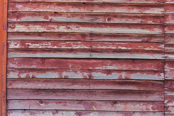 Textur eines Baumes, Holz. — Stockfoto