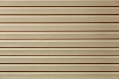 bir ağacın dokusu.