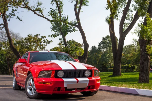 kırmızı spor araba mustang