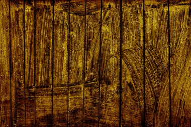 bir ağacın dokusu.