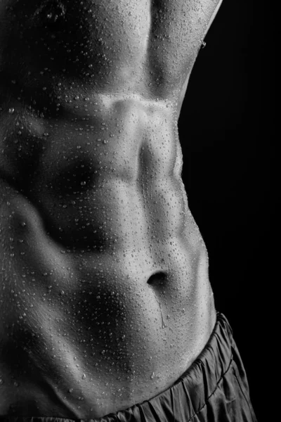 seksi erkek bodibilder.