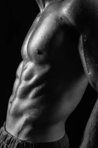 seksi erkek bodibilder.