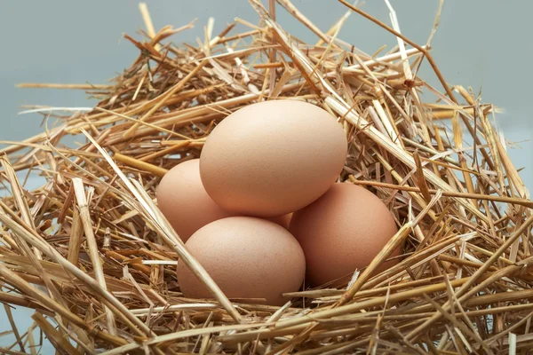 Eggs chicken put on hay. — Stock Photo, Image